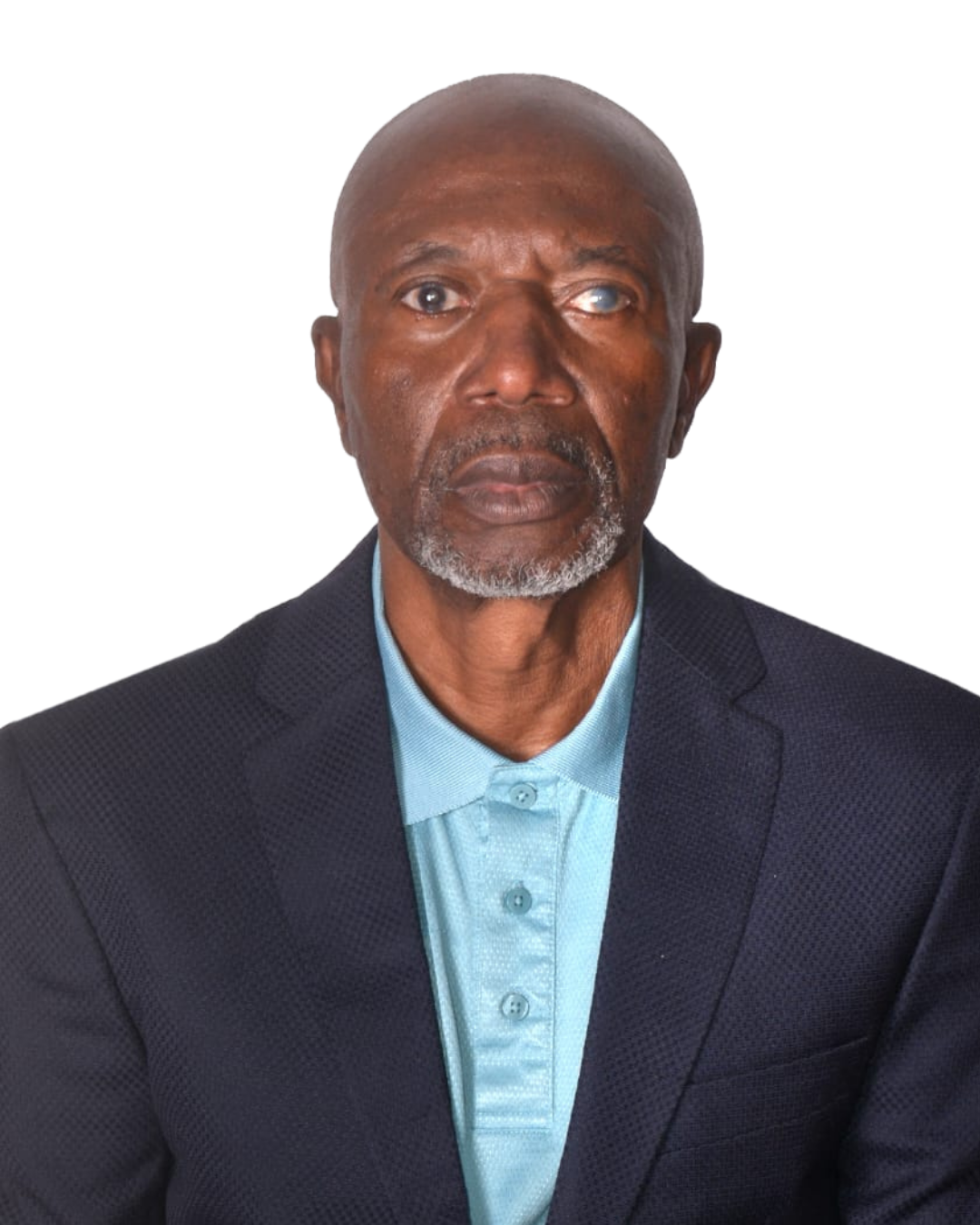 AKINSULE SOLOMON ADEMOLA portrait